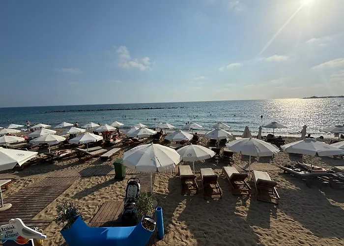 1b Seaside Orchid, Sea, Center Paphos