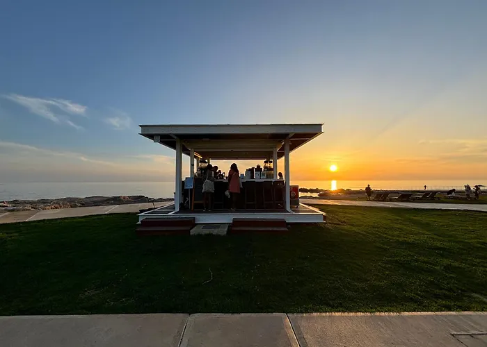 1b Seaside Orchid, Sea, Center * パ フォス