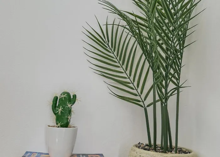 Apartament 1b Seaside Orchid, Sea, Center