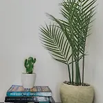 Daire 1b Seaside Orchid, Sea, Center