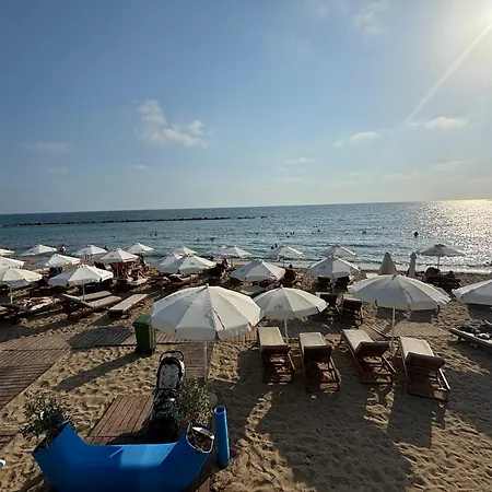 1b Seaside Orchid, Sea, Center Pafos