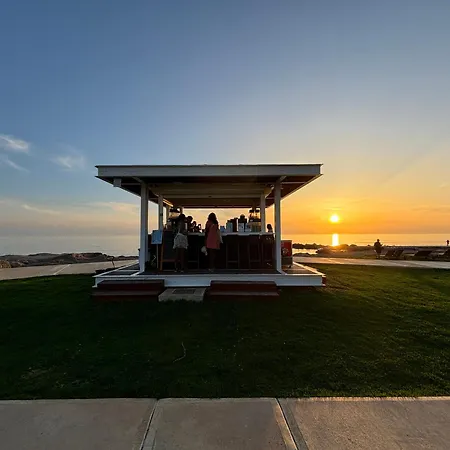 1b Seaside Orchid, Sea, Center * פאפוס