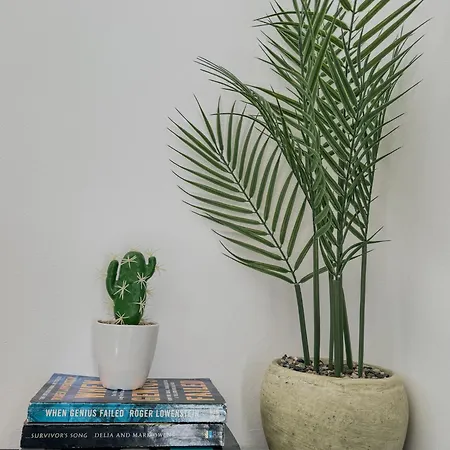 דירה 1b Seaside Orchid, Sea, Center